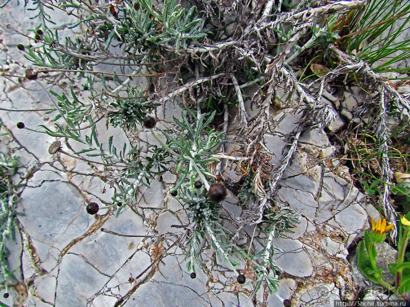 От прогулки к практически горному треккингу в центре города