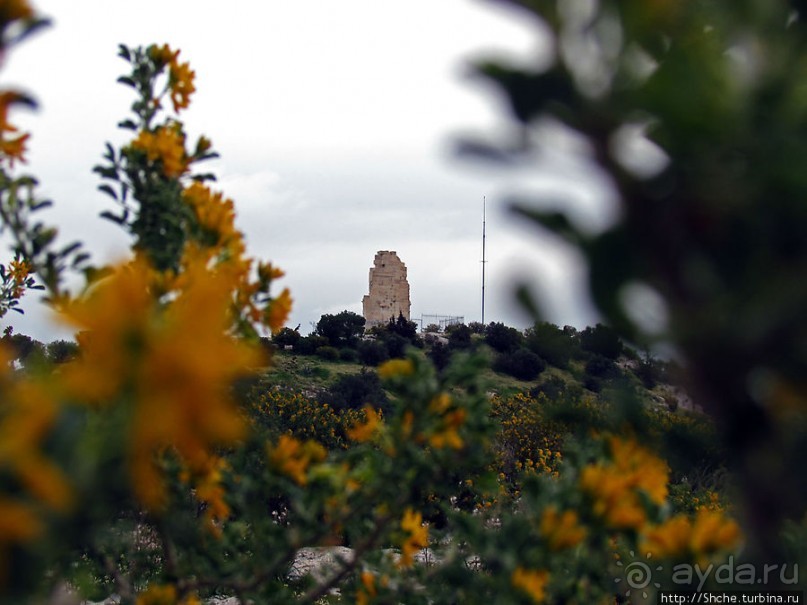 От прогулки к практически горному треккингу в центре города