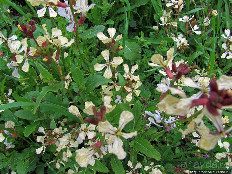 От прогулки к практически горному треккингу в центре города