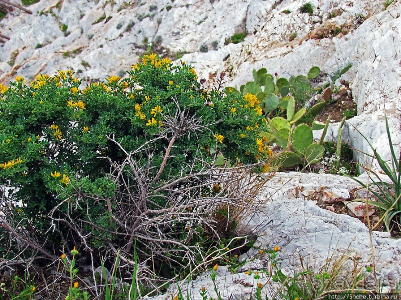 От прогулки к практически горному треккингу в центре города