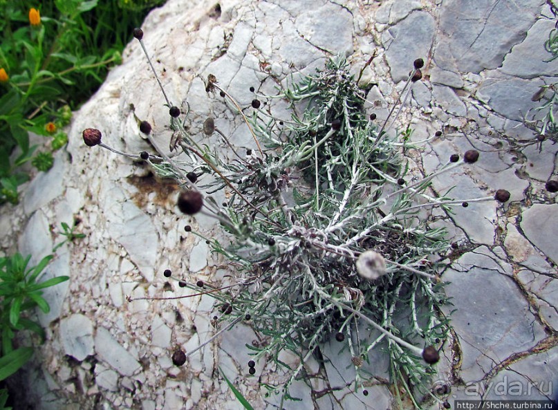 От прогулки к практически горному треккингу в центре города