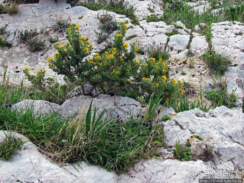 От прогулки к практически горному треккингу в центре города