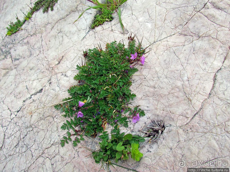 От прогулки к практически горному треккингу в центре города