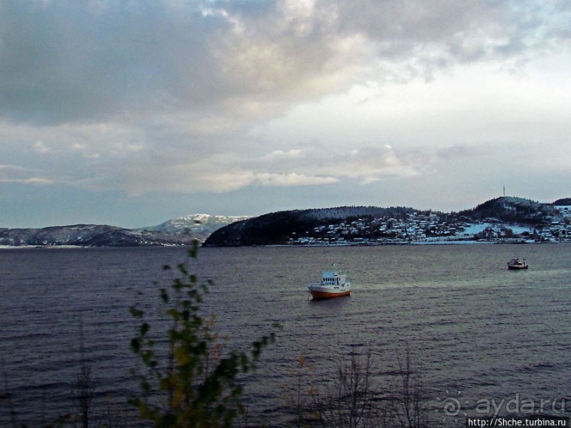 Припорошило наш знакомый фьерд Strindfjorden