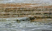 Мамонтовы горячие источники (Mаmmoth). Верхние террасы