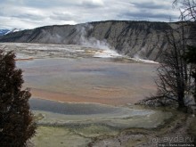 Мамонтовы горячие источники (Mаmmoth). Верхние террасы