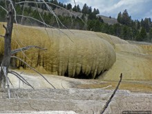 Мамонтовы горячие источники (Mаmmoth). Верхние террасы