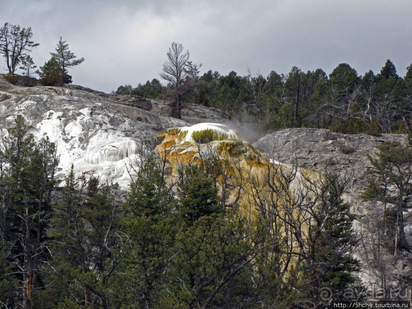 Мамонтовы горячие источники (Mаmmoth). Верхние террасы