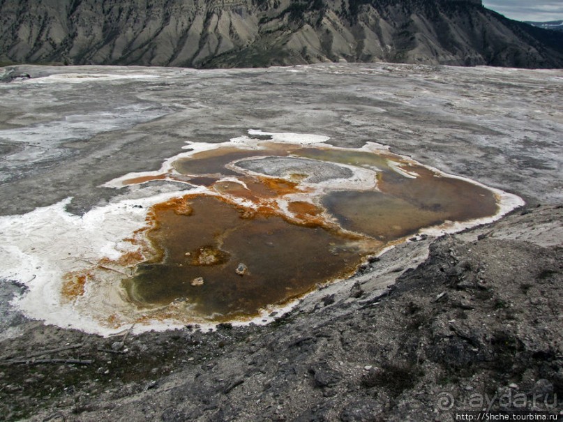 Мамонтовы горячие источники (Mаmmoth). Верхние террасы