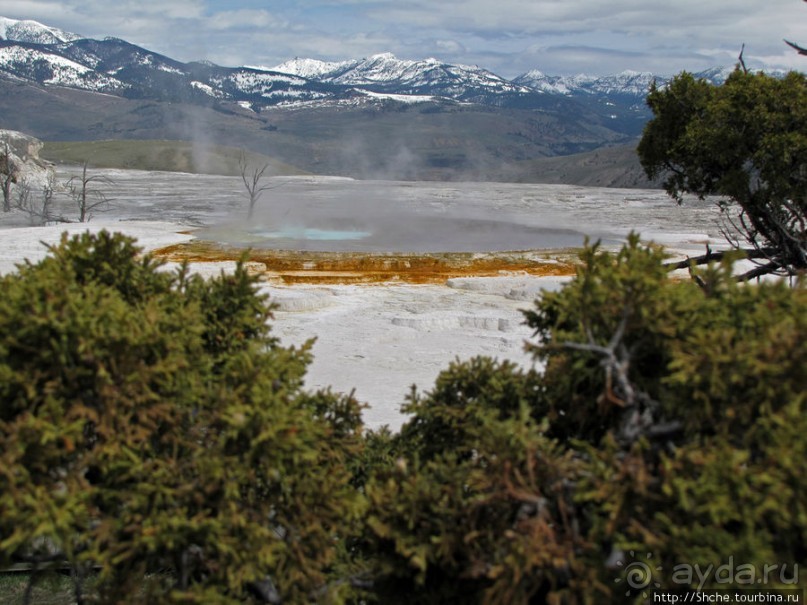 Мамонтовы горячие источники (Mаmmoth). Верхние террасы