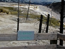 Мамонтовы горячие источники (Mаmmoth). Верхние террасы