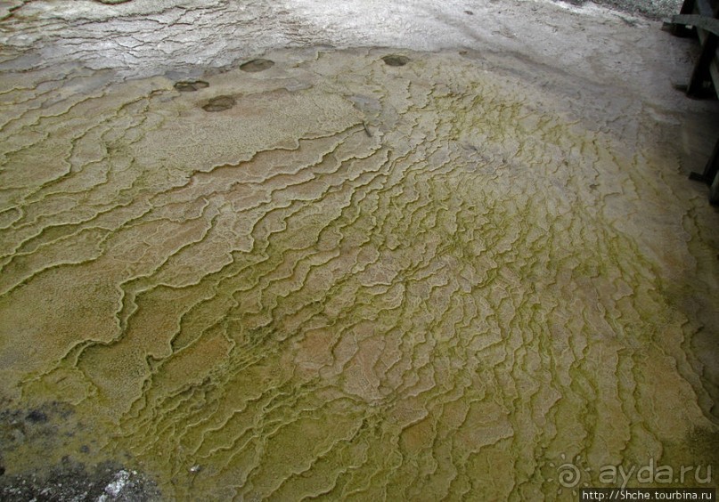 Мамонтовы горячие источники (Mаmmoth). Верхние террасы