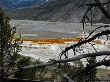 Мамонтовы горячие источники (Mаmmoth). Верхние террасы