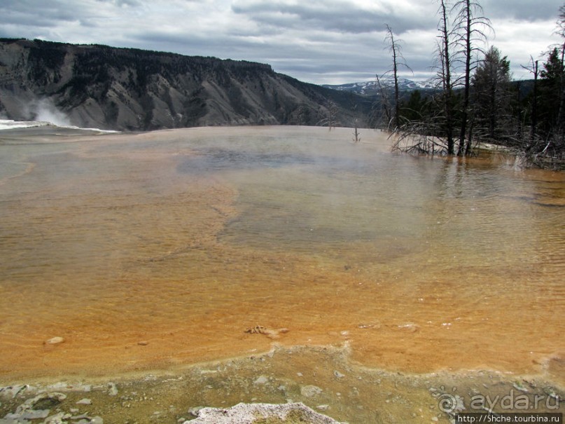Мамонтовы горячие источники (Mаmmoth). Верхние террасы