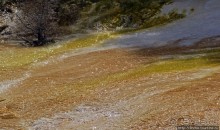 Мамонтовы горячие источники (Mаmmoth). Верхние террасы