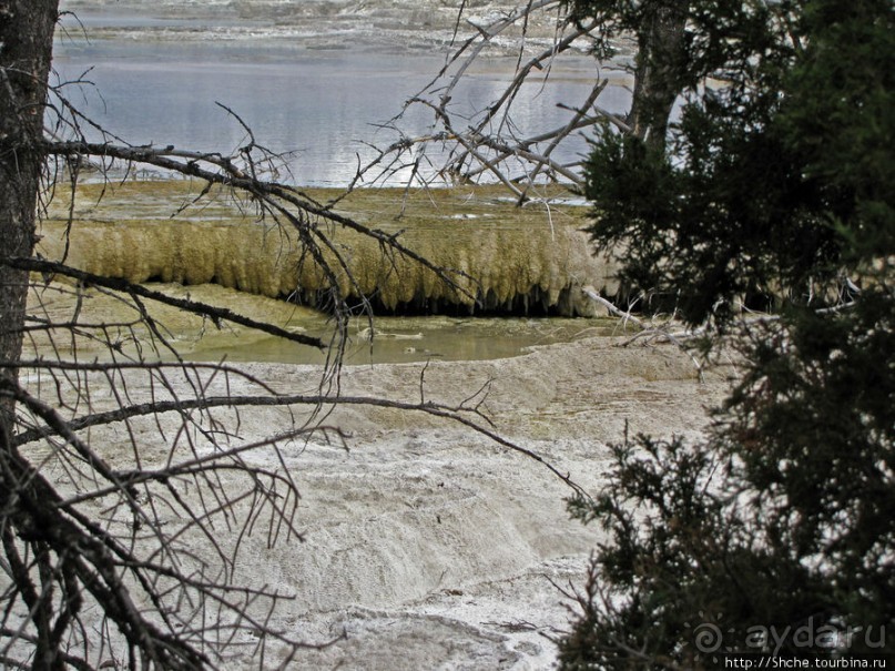 Мамонтовы горячие источники (Mаmmoth). Верхние террасы