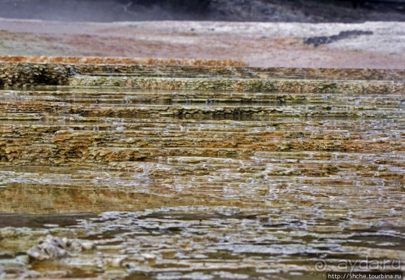 Мамонтовы горячие источники (Mаmmoth). Верхние террасы
