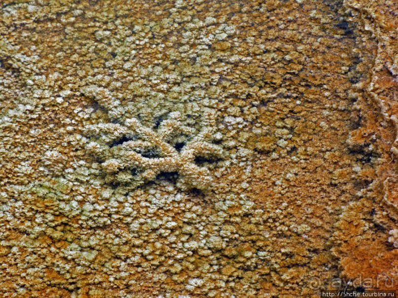 Мамонтовы горячие источники (Mаmmoth). Верхние террасы