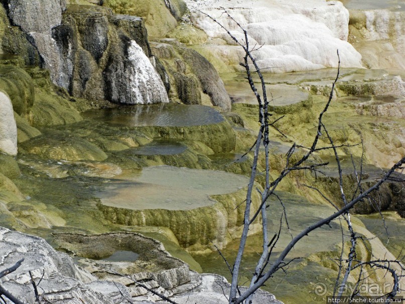 Мамонтовы горячие источники (Mаmmoth). Верхние террасы