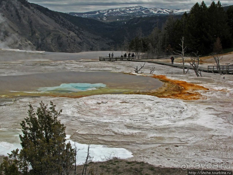 Мамонтовы горячие источники (Mаmmoth). Верхние террасы