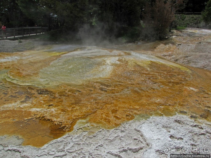Мамонтовы горячие источники (Mаmmoth). Верхние террасы