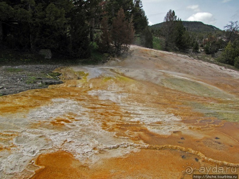 Мамонтовы горячие источники (Mаmmoth). Верхние террасы