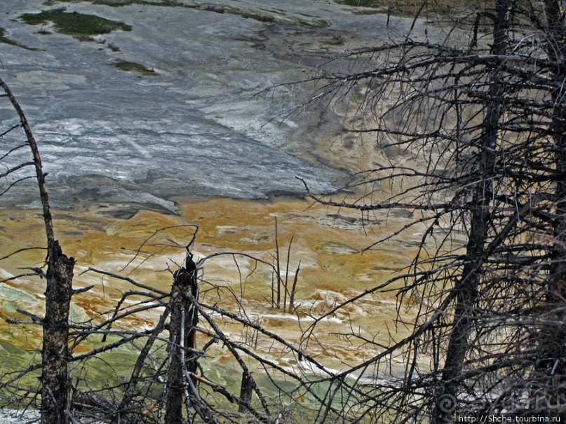 Мамонтовы горячие источники (Mаmmoth). Верхние террасы