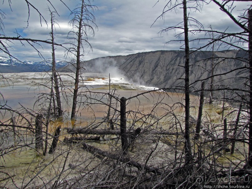 Мамонтовы горячие источники (Mаmmoth). Верхние террасы