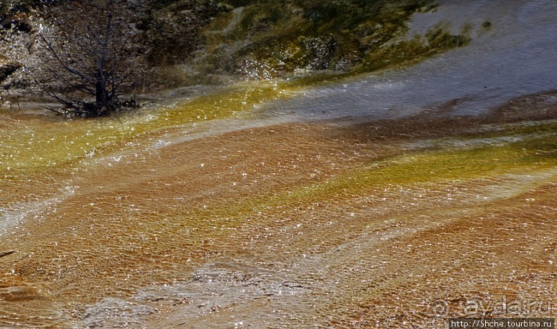 Мамонтовы горячие источники (Mаmmoth). Верхние террасы