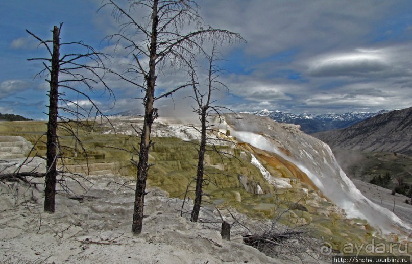 Мамонтовы горячие источники (Mаmmoth). Верхние террасы