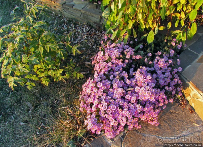 Утро 26 октября... Первый заморозок