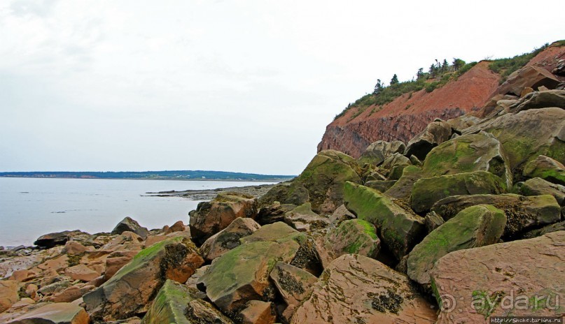 Скалы Джоггинс — прогулка в поисках ископаемых реликтов