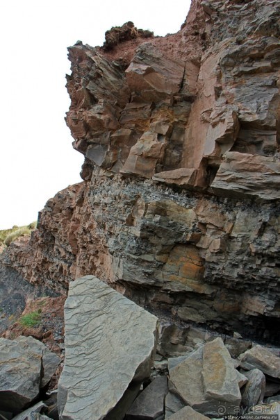 Скалы Джоггинс — прогулка в поисках ископаемых реликтов