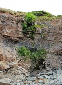 Скалы Джоггинс — прогулка в поисках ископаемых реликтов