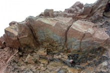 Скалы Джоггинс — прогулка в поисках ископаемых реликтов