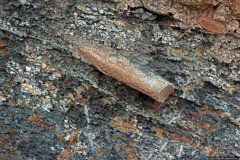 Скалы Джоггинс — прогулка в поисках ископаемых реликтов