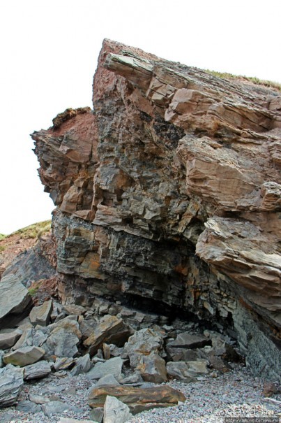 Скалы Джоггинс — прогулка в поисках ископаемых реликтов