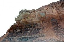 Скалы Джоггинс — прогулка в поисках ископаемых реликтов