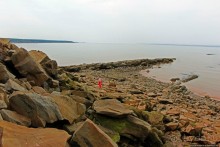 Скалы Джоггинс — прогулка в поисках ископаемых реликтов