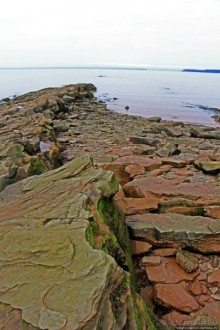 Скалы Джоггинс — прогулка в поисках ископаемых реликтов