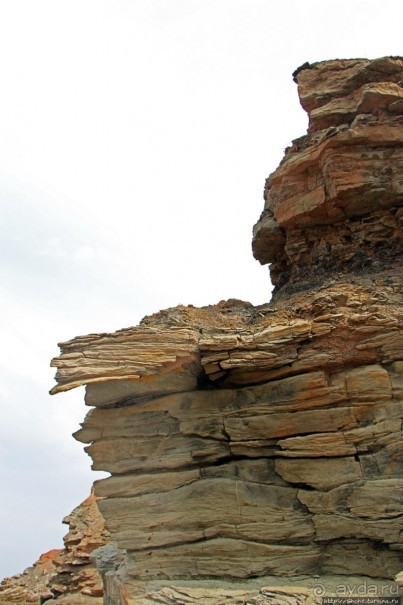 Скалы Джоггинс — прогулка в поисках ископаемых реликтов