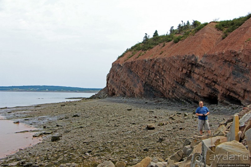 Скалы Джоггинс — прогулка в поисках ископаемых реликтов