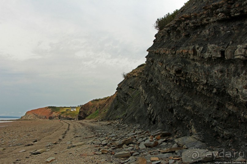 Скалы Джоггинс — прогулка в поисках ископаемых реликтов