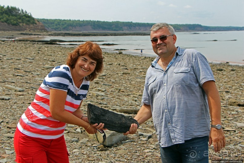 Скалы Джоггинс — прогулка в поисках ископаемых реликтов