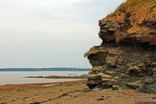 Скалы Джоггинс — прогулка в поисках ископаемых реликтов