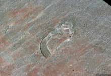 Скалы Джоггинс — прогулка в поисках ископаемых реликтов