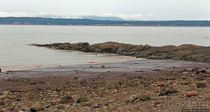 Скалы Джоггинс — прогулка в поисках ископаемых реликтов