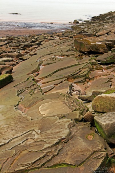Скалы Джоггинс — прогулка в поисках ископаемых реликтов