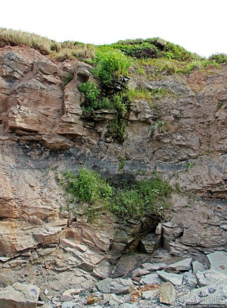 Скалы Джоггинс — прогулка в поисках ископаемых реликтов