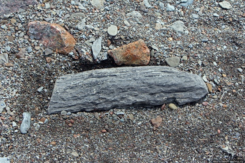 Скалы Джоггинс — прогулка в поисках ископаемых реликтов